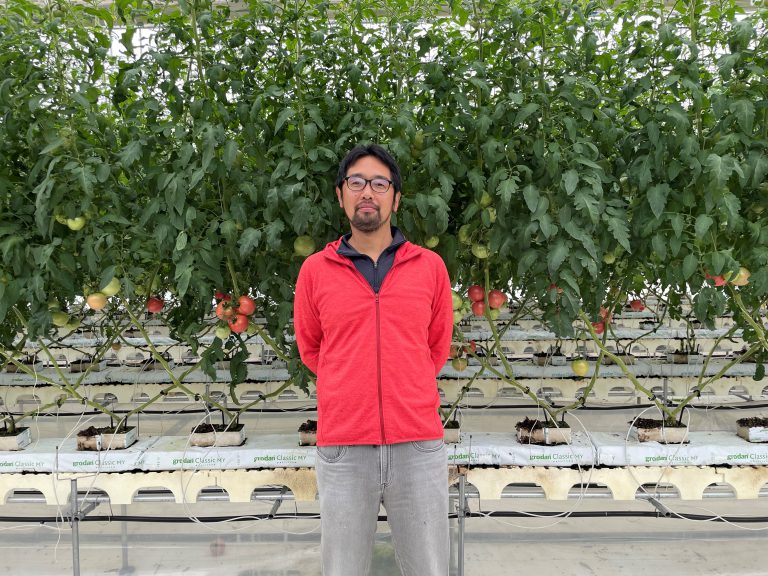 盛岡を環境制御栽培トマトの一大産地に